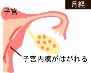 月経