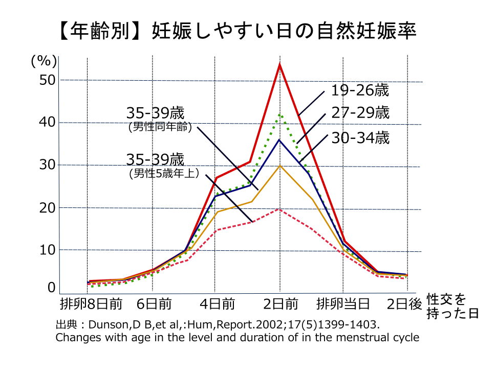 セックスのタイミングと排卵日