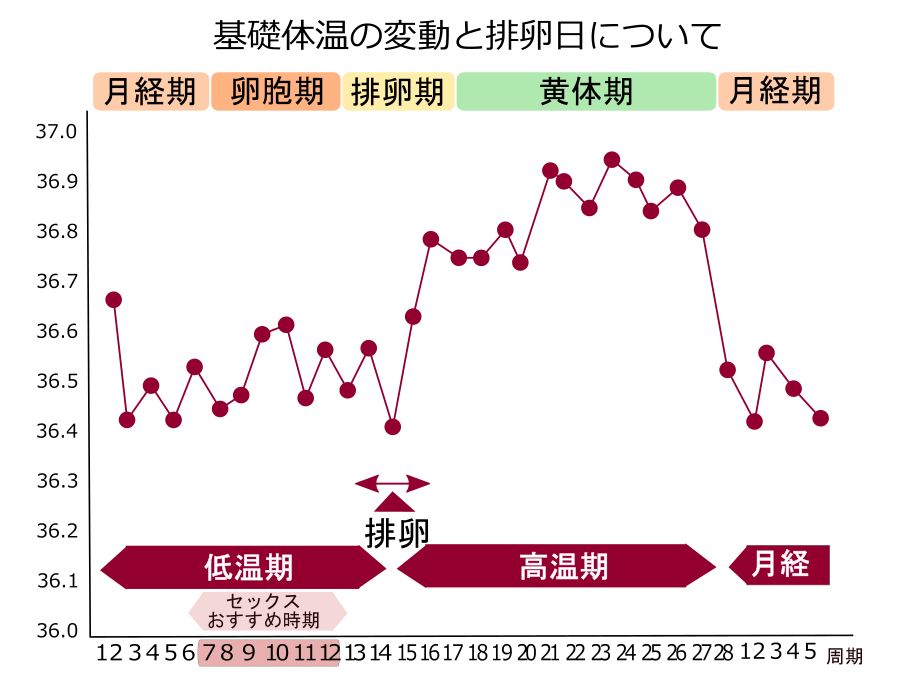 基礎体温変動グラフ図１