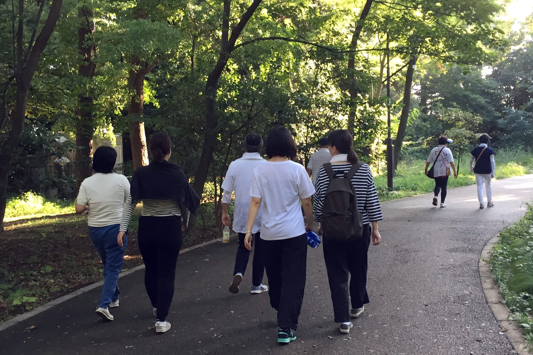 デトックスコース朝の散歩