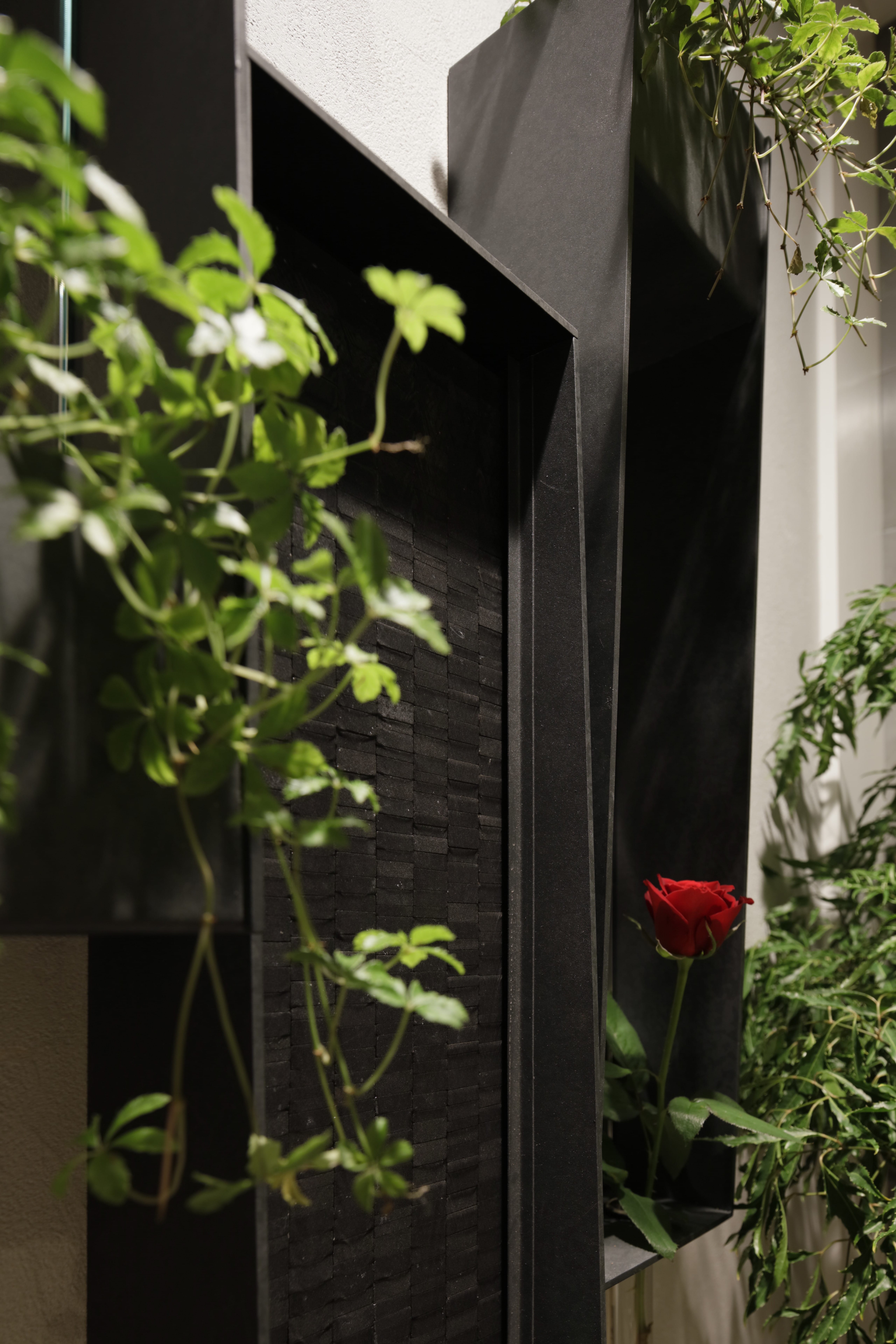 青山フラワーマーケットとコラボした植栽