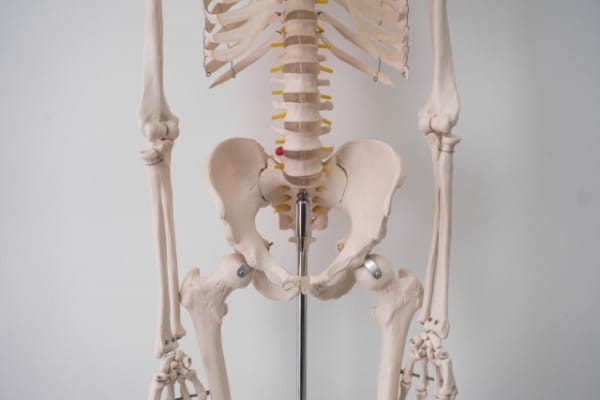 骨盤の歪み