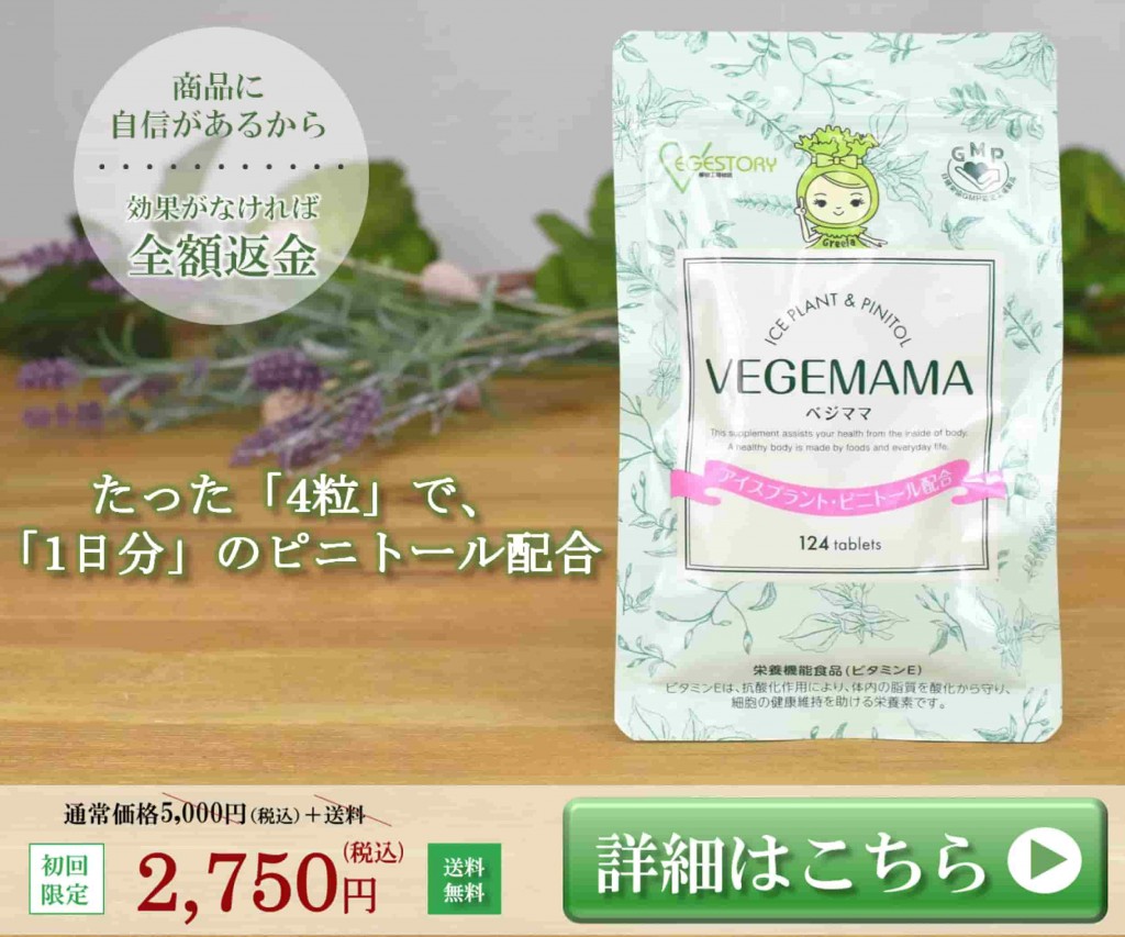 vegemama_banner600500-min