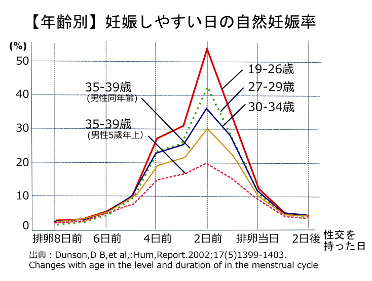 排卵日とセックスの関係